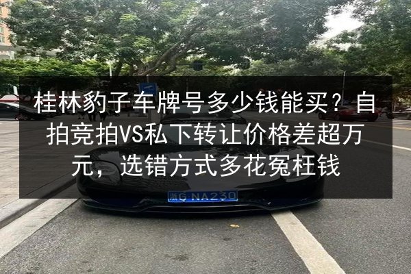 桂林豹子车牌号多少钱能买?自拍竞拍VS私下转让价格差超万元,选错方式多花冤枉钱 第3张 桂林豹子车牌号多少钱能买?自拍竞拍VS私下转让价格差超万元,选错方式多花冤枉钱 第3张
