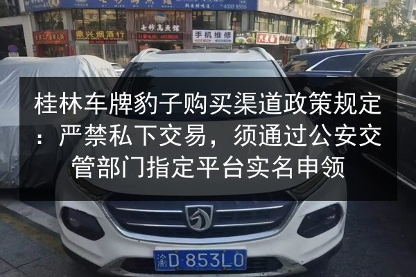 桂林车牌豹子购买渠道政策规定:严禁私下交易,须通过公安交管部门指定平台实名申领 第3张 桂林车牌豹子购买渠道政策规定:严禁私下交易,须通过公安交管部门指定平台实名申领 第3张