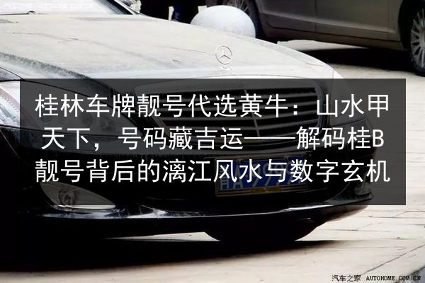 桂林车牌靓号代选黄牛：山水甲天下，号码藏吉运——解码桂B靓号背后的漓江风水与数字玄机 第2张