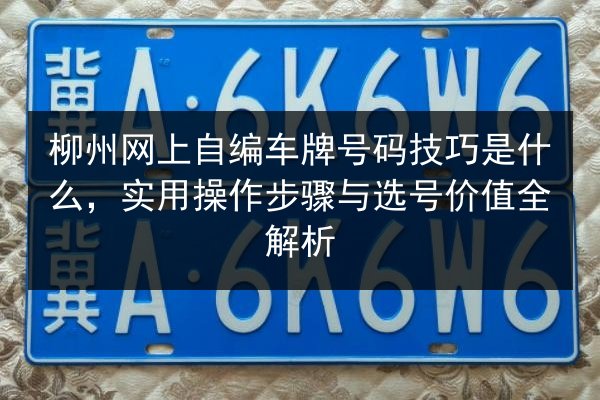 柳州网上自编车牌号码技巧是什么,实用操作步骤与选号价值全解析 第2张 柳州网上自编车牌号码技巧是什么,实用操作步骤与选号价值全解析 第2张