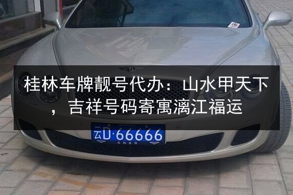桂林车牌靓号代办：山水甲天下，吉祥号码寄寓漓江福运 第3张