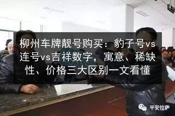 柳州车牌靓号购买:豹子号vs连号vs吉祥数字,寓意、稀缺性、价格三大区别一文看懂 第1张 柳州车牌靓号购买:豹子号vs连号vs吉祥数字,寓意、稀缺性、价格三大区别一文看懂 第1张