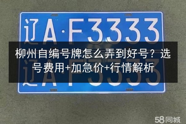 柳州自编号牌怎么弄到好号？选号费用+加急价+行情解析 第2张