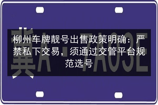 柳州车牌靓号出售政策明确:严禁私下交易,须通过交管平台规范选号 第2张 柳州车牌靓号出售政策明确:严禁私下交易,须通过交管平台规范选号 第2张