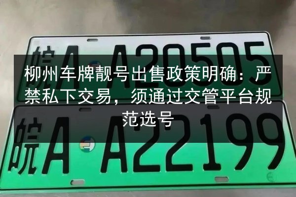 柳州车牌靓号出售政策明确:严禁私下交易,须通过交管平台规范选号 第3张 柳州车牌靓号出售政策明确:严禁私下交易,须通过交管平台规范选号 第3张