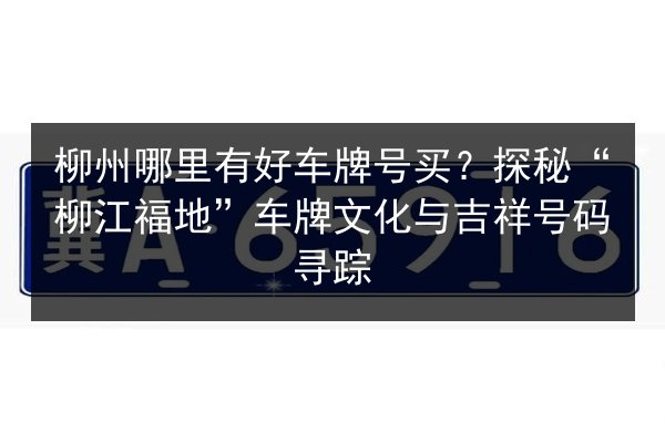 柳州哪里有好车牌号买？探秘“柳江福地”车牌文化与吉祥号码寻踪 第1张