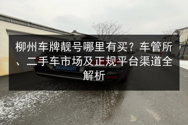 柳州车牌靓号哪里有买?车管所、二手车市场及正规平台渠道全解析 第2张 柳州车牌靓号哪里有买?车管所、二手车市场及正规平台渠道全解析 第2张