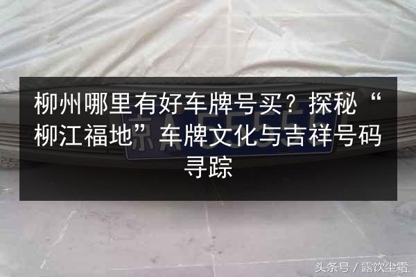 柳州哪里有好车牌号买？探秘“柳江福地”车牌文化与吉祥号码寻踪 第2张