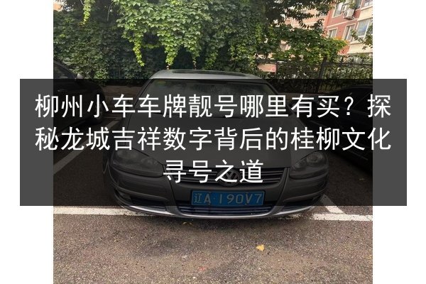柳州小车车牌靓号哪里有买？探秘龙城吉祥数字背后的桂柳文化寻号之道 第1张