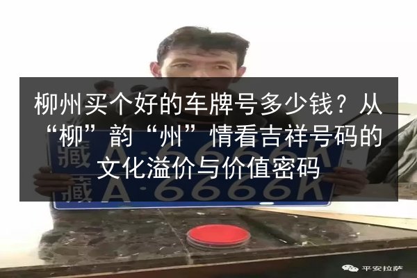 柳州买个好的车牌号多少钱?从“柳”韵“州”情看吉祥号码的文化溢价与价值密码 第2张 柳州买个好的车牌号多少钱?从“柳”韵“州”情看吉祥号码的文化溢价与价值密码 第2张
