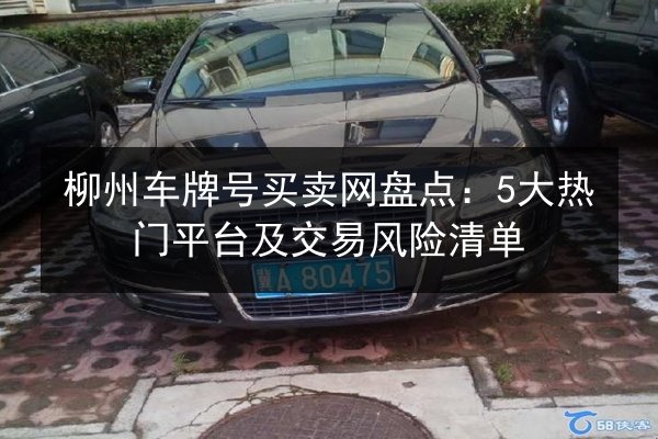 柳州车牌号买卖网盘点：5大热门平台及交易风险清单 第3张
