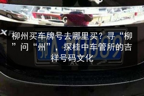 柳州买车牌号去哪里买？寻“柳”问“州”，探桂中车管所的吉祥号码文化 第2张