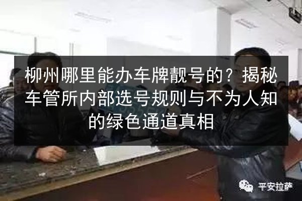 柳州哪里能办车牌靓号的?揭秘车管所内部选号规则与不为人知的绿色通道真相 第2张 柳州哪里能办车牌靓号的?揭秘车管所内部选号规则与不为人知的绿色通道真相 第2张