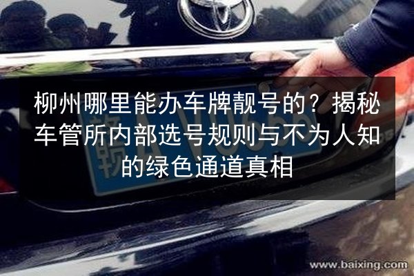 柳州哪里能办车牌靓号的?揭秘车管所内部选号规则与不为人知的绿色通道真相 第3张 柳州哪里能办车牌靓号的?揭秘车管所内部选号规则与不为人知的绿色通道真相 第3张