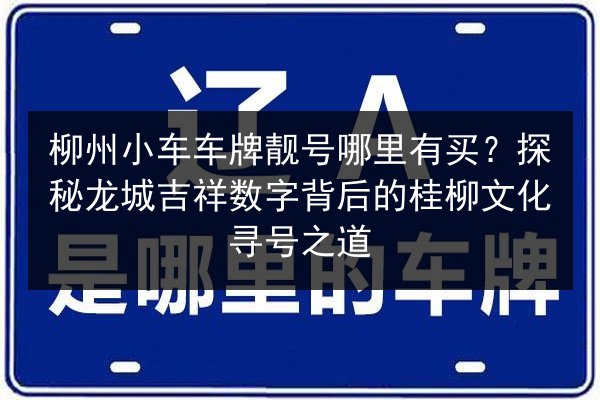 柳州小车车牌靓号哪里有买？探秘龙城吉祥数字背后的桂柳文化寻号之道 第3张