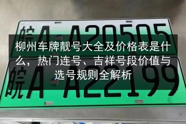 柳州车牌靓号大全及价格表是什么,热门连号、吉祥号段价值与选号规则全解析 第2张 柳州车牌靓号大全及价格表是什么,热门连号、吉祥号段价值与选号规则全解析 第2张