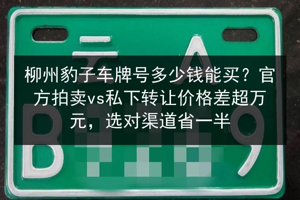柳州豹子车牌号多少钱能买？官方拍卖vs私下转让价格差超万元，选对渠道省一半 第2张