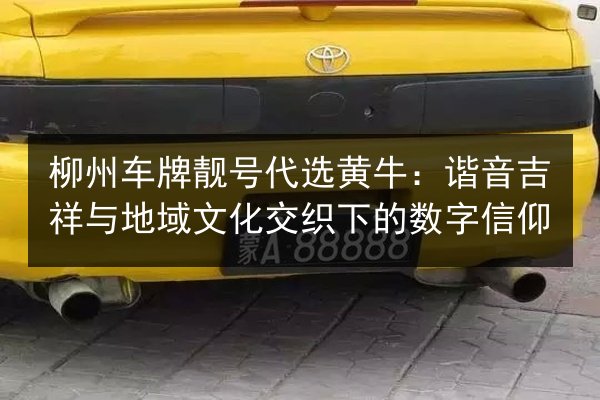 柳州车牌靓号代选黄牛：谐音吉祥与地域文化交织下的数字信仰 第2张