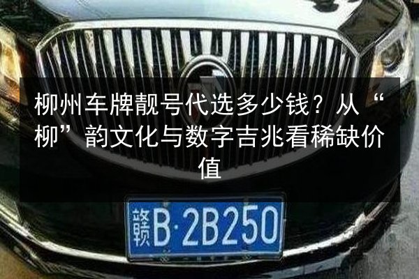 柳州车牌靓号代选多少钱？从“柳”韵文化与数字吉兆看稀缺价值