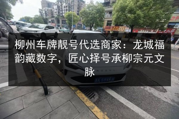 柳州车牌靓号代选商家：龙城福韵藏数字，匠心择号承柳宗元文脉 第2张