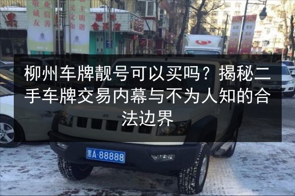 柳州车牌靓号可以买吗？揭秘二手车牌交易内幕与不为人知的合法边界 第2张