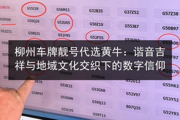 柳州车牌靓号代选黄牛：谐音吉祥与地域文化交织下的数字信仰 第3张