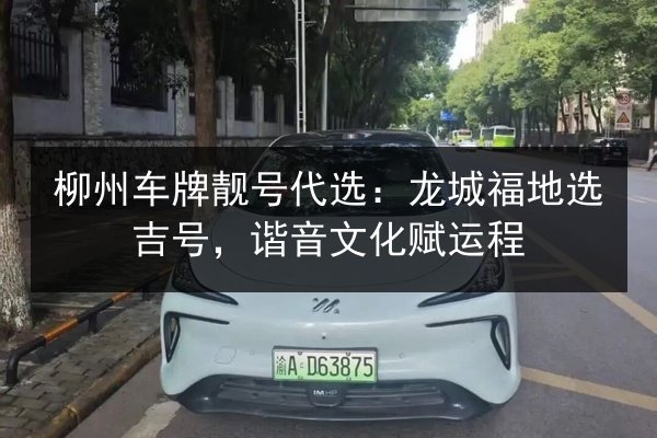 柳州车牌靓号代选:龙城福地选吉号,谐音文化赋运程 第2张 柳州车牌靓号代选:龙城福地选吉号,谐音文化赋运程 第2张