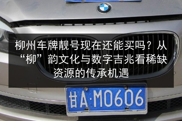 柳州车牌靓号现在还能买吗?从“柳”韵文化与数字吉兆看稀缺资源的传承机遇 第2张 柳州车牌靓号现在还能买吗?从“柳”韵文化与数字吉兆看稀缺资源的传承机遇 第2张
