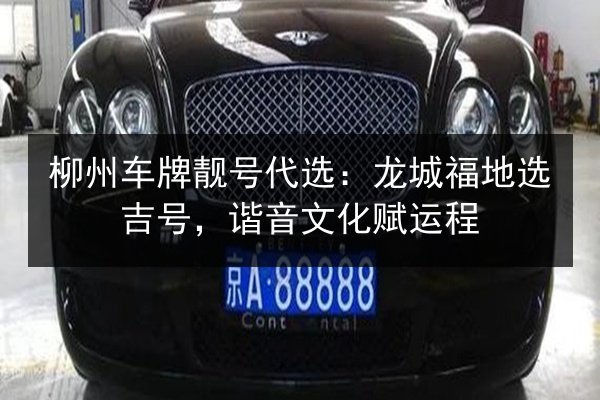 柳州车牌靓号代选:龙城福地选吉号,谐音文化赋运程 第3张 柳州车牌靓号代选:龙城福地选吉号,谐音文化赋运程 第3张