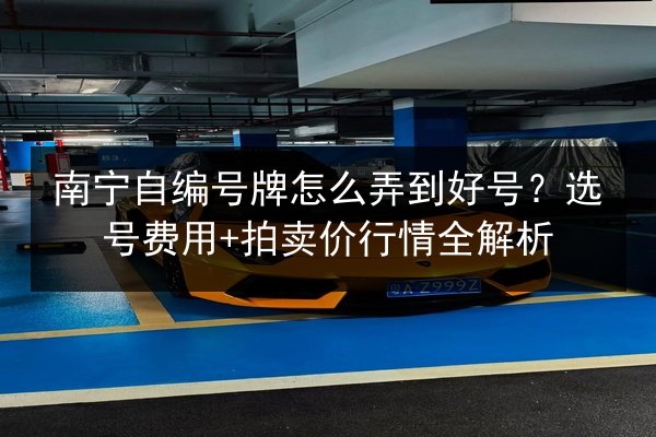 南宁自编号牌怎么弄到好号？选号费用+拍卖价行情全解析 第2张