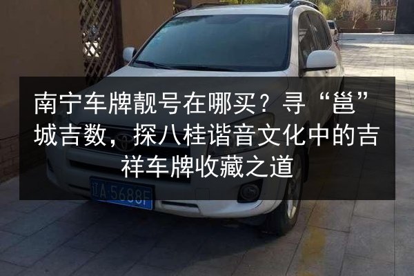 南宁车牌靓号在哪买?寻“邕”城吉数,探八桂谐音文化中的吉祥车牌收藏之道 第2张 南宁车牌靓号在哪买?寻“邕”城吉数,探八桂谐音文化中的吉祥车牌收藏之道 第2张