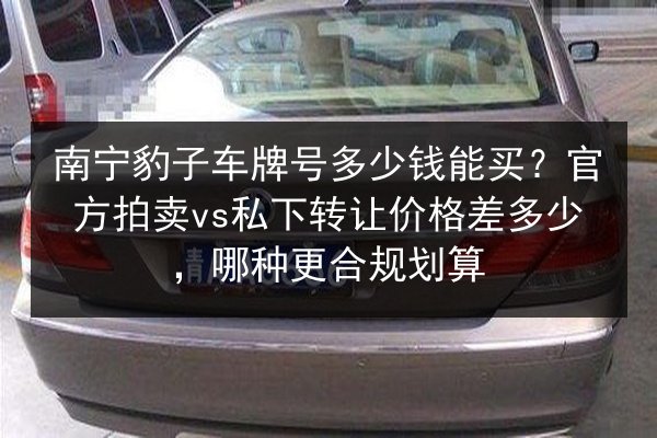 南宁豹子车牌号多少钱能买?官方拍卖vs私下转让价格差多少,哪种更合规划算 第2张 南宁豹子车牌号多少钱能买?官方拍卖vs私下转让价格差多少,哪种更合规划算 第2张