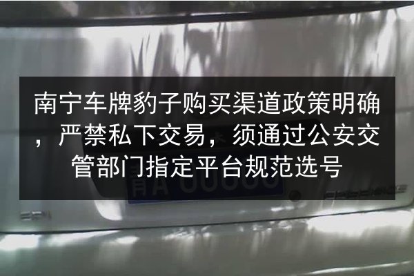 南宁车牌豹子购买渠道政策明确,严禁私下交易,须通过公安交管部门指定平台规范选号 第2张 南宁车牌豹子购买渠道政策明确,严禁私下交易,须通过公安交管部门指定平台规范选号 第2张