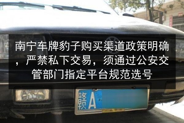 南宁车牌豹子购买渠道政策明确,严禁私下交易,须通过公安交管部门指定平台规范选号 第3张 南宁车牌豹子购买渠道政策明确,严禁私下交易,须通过公安交管部门指定平台规范选号 第3张