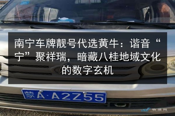 南宁车牌靓号代选黄牛：谐音“宁”聚祥瑞，暗藏八桂地域文化的数字玄机 第3张