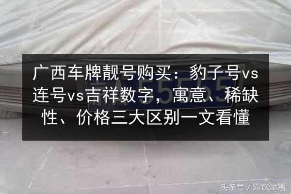 广西车牌靓号购买:豹子号vs连号vs吉祥数字,寓意、稀缺性、价格三大区别一文看懂 第2张 广西车牌靓号购买:豹子号vs连号vs吉祥数字,寓意、稀缺性、价格三大区别一文看懂 第2张