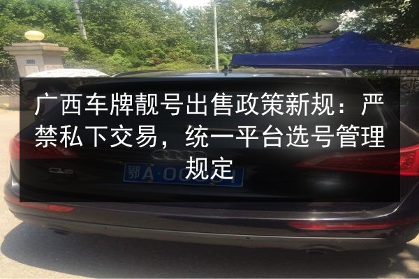 广西车牌靓号出售政策新规:严禁私下交易,统一平台选号管理规定 第2张 广西车牌靓号出售政策新规:严禁私下交易,统一平台选号管理规定 第2张