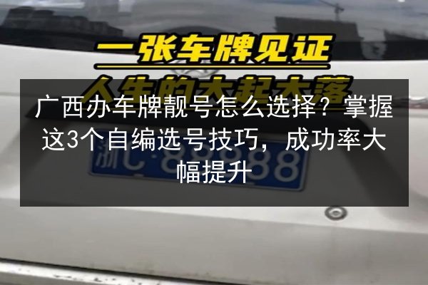 广西办车牌靓号怎么选择?掌握这3个自编选号技巧,成功率大幅提升 第2张 广西办车牌靓号怎么选择?掌握这3个自编选号技巧,成功率大幅提升 第2张