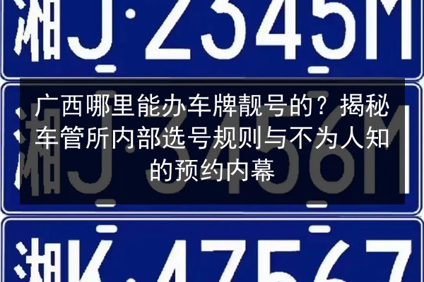 广西哪里能办车牌靓号的？揭秘车管所内部选号规则与不为人知的预约内幕 第2张