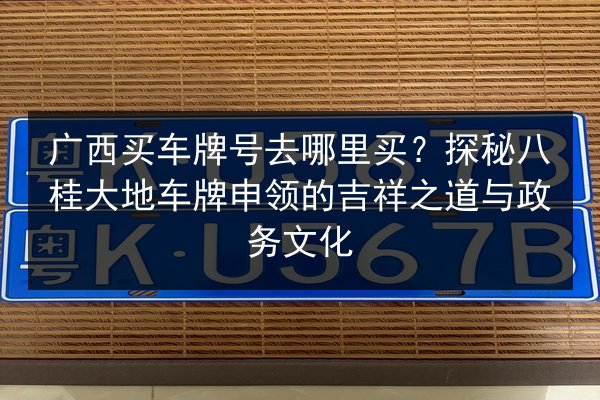 广西买车牌号去哪里买?探秘八桂大地车牌申领的吉祥之道与政务文化 第2张 广西买车牌号去哪里买?探秘八桂大地车牌申领的吉祥之道与政务文化 第2张