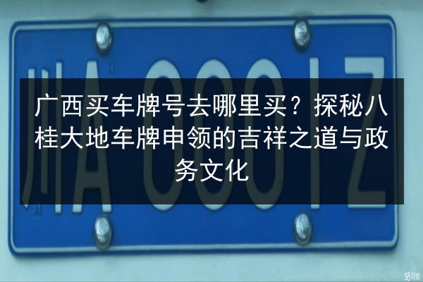 广西买车牌号去哪里买?探秘八桂大地车牌申领的吉祥之道与政务文化 第3张 广西买车牌号去哪里买?探秘八桂大地车牌申领的吉祥之道与政务文化 第3张