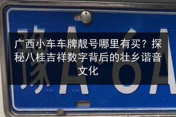 广西小车车牌靓号哪里有买?探秘八桂吉祥数字背后的壮乡谐音文化 第2张 广西小车车牌靓号哪里有买?探秘八桂吉祥数字背后的壮乡谐音文化 第2张