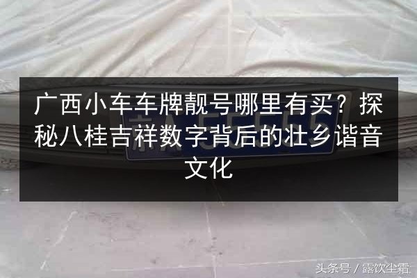 广西小车车牌靓号哪里有买?探秘八桂吉祥数字背后的壮乡谐音文化 第3张 广西小车车牌靓号哪里有买?探秘八桂吉祥数字背后的壮乡谐音文化 第3张
