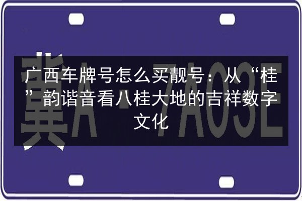 广西车牌号怎么买靓号：从“桂”韵谐音看八桂大地的吉祥数字文化 第2张