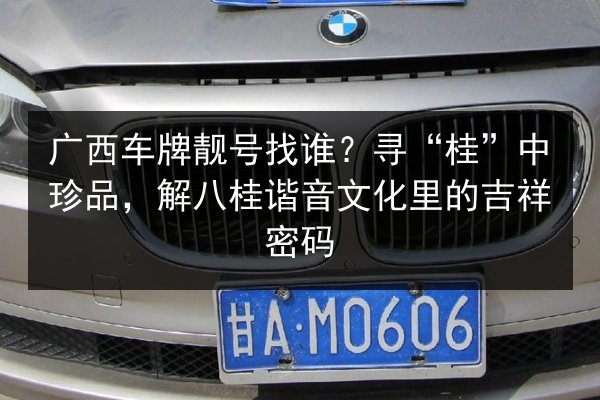 广西车牌靓号找谁?寻“桂”中珍品,解八桂谐音文化里的吉祥密码 第2张 广西车牌靓号找谁?寻“桂”中珍品,解八桂谐音文化里的吉祥密码 第2张