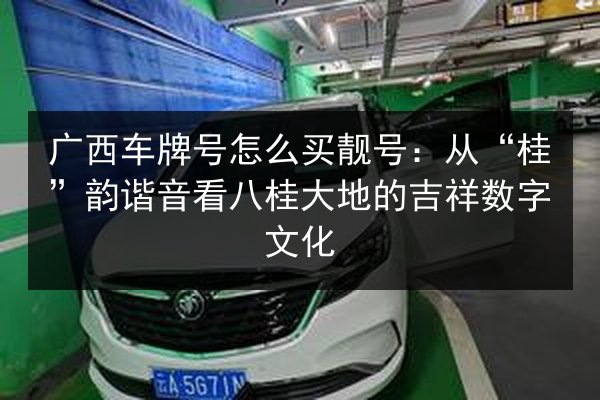 广西车牌号怎么买靓号：从“桂”韵谐音看八桂大地的吉祥数字文化 第3张