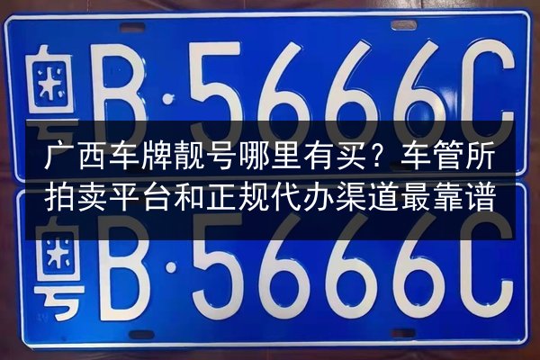广西车牌靓号哪里有买？车管所拍卖平台和正规代办渠道最靠谱 第3张