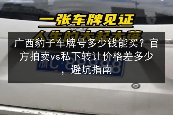 广西豹子车牌号多少钱能买？官方拍卖vs私下转让价格差多少，避坑指南