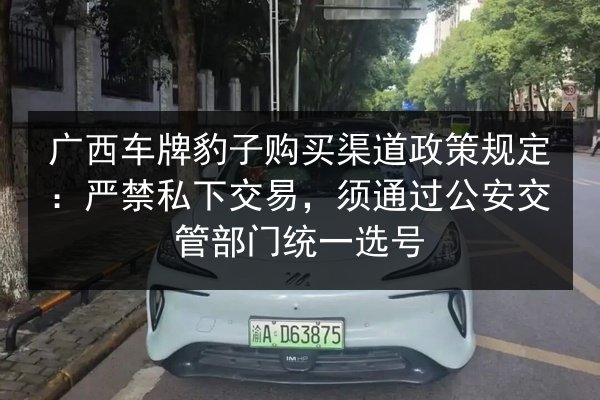 广西车牌豹子购买渠道政策规定:严禁私下交易,须通过公安交管部门统一选号 第2张 广西车牌豹子购买渠道政策规定:严禁私下交易,须通过公安交管部门统一选号 第2张