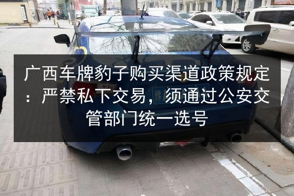广西车牌豹子购买渠道政策规定:严禁私下交易,须通过公安交管部门统一选号 第3张 广西车牌豹子购买渠道政策规定:严禁私下交易,须通过公安交管部门统一选号 第3张